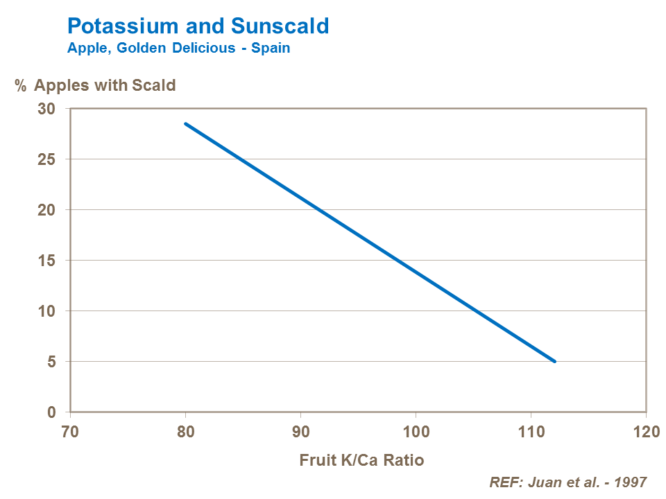 Potassium and apple Sunscald