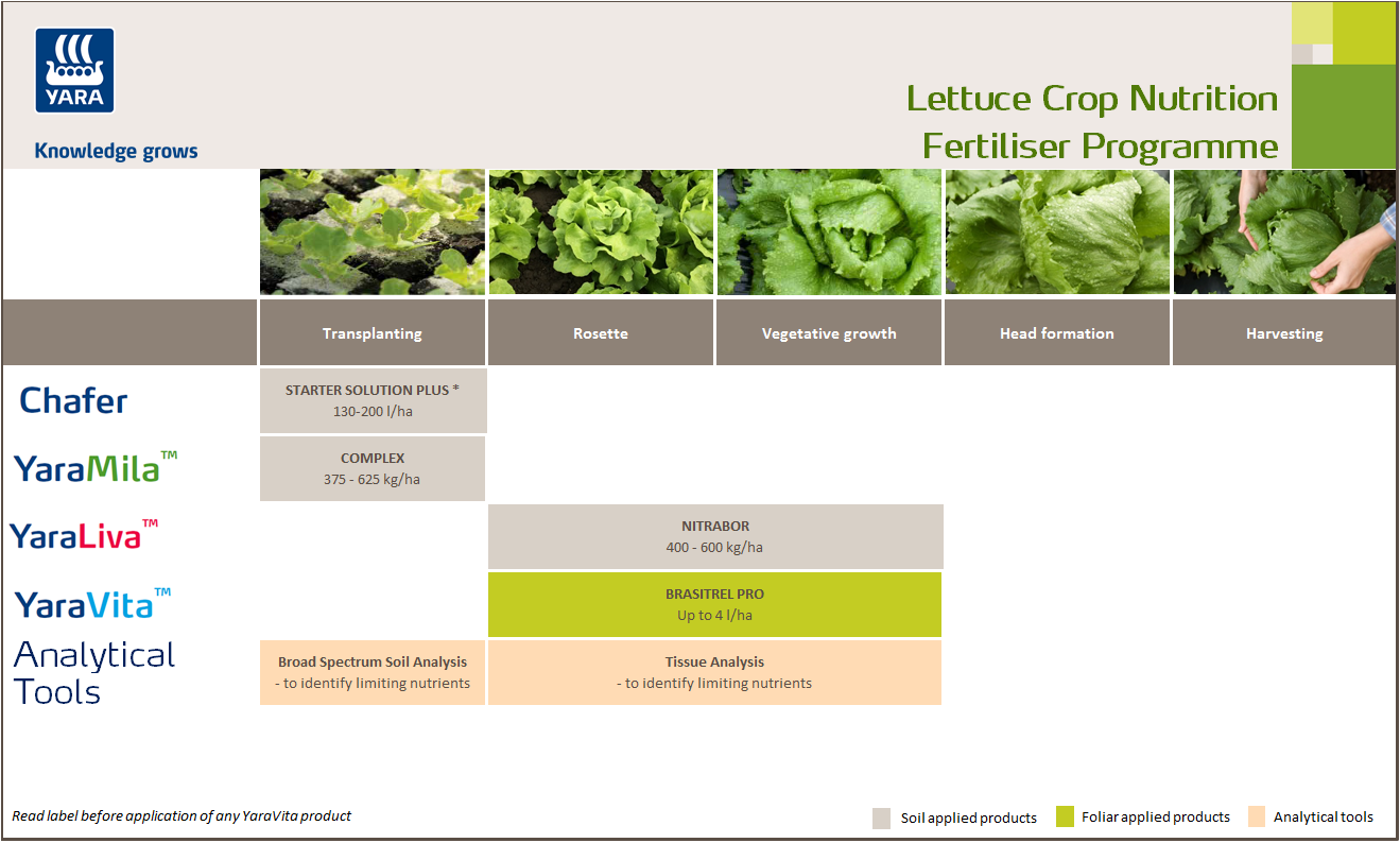 Lettuce crop nutrition programme
