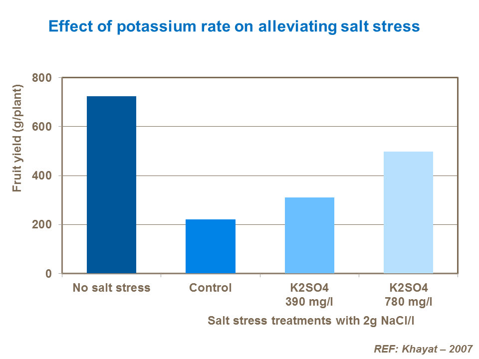 Effect of potassium rate on alleviating salt stress