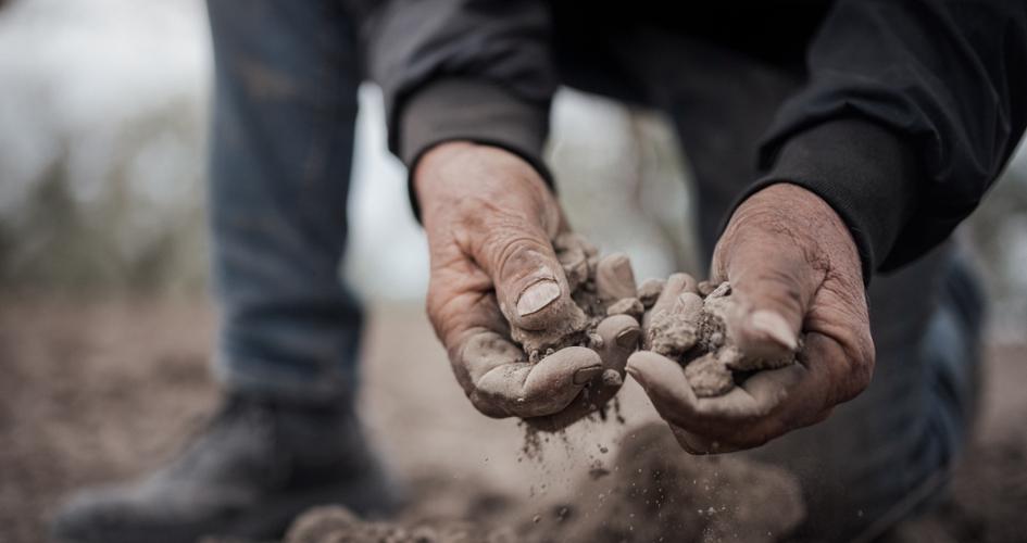 Hands holding dry soil in field, in Italy