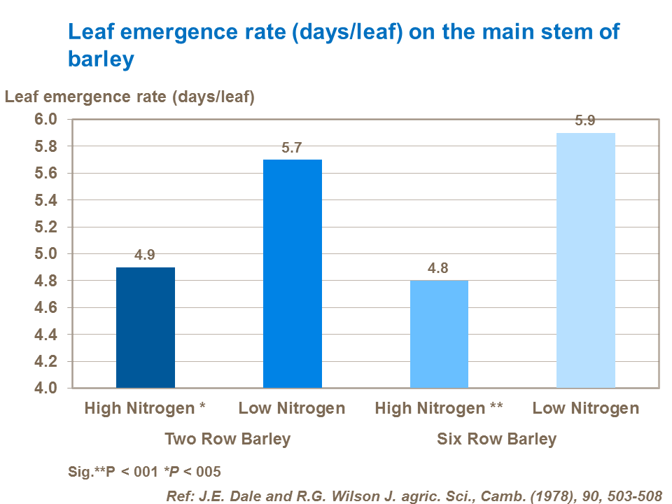 Leaf emergence rate on the main stem of barley