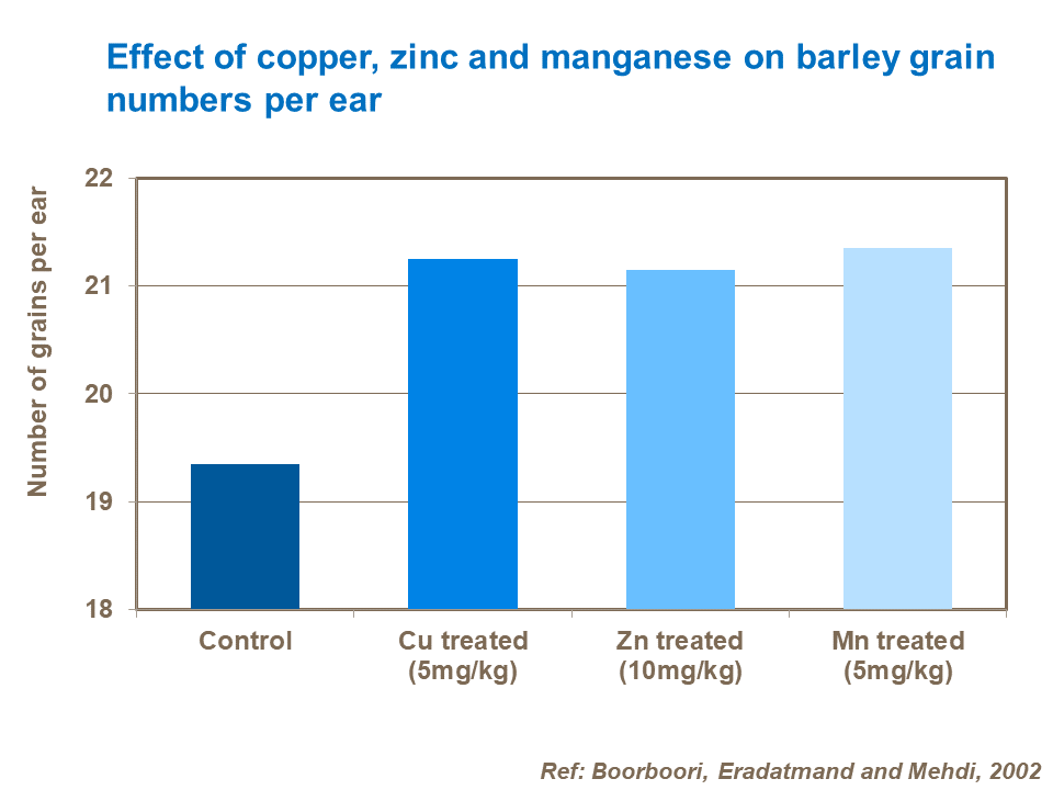 Effect of copper, zinc and manganese on barley grain numbers per ear