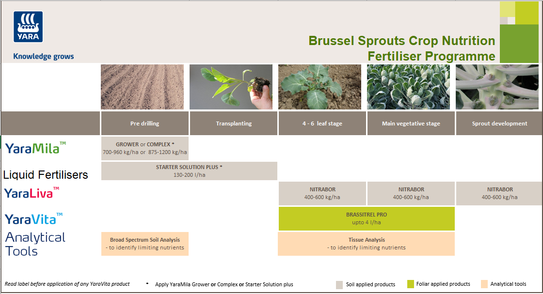 Brussel sprouts crop nutrition programme