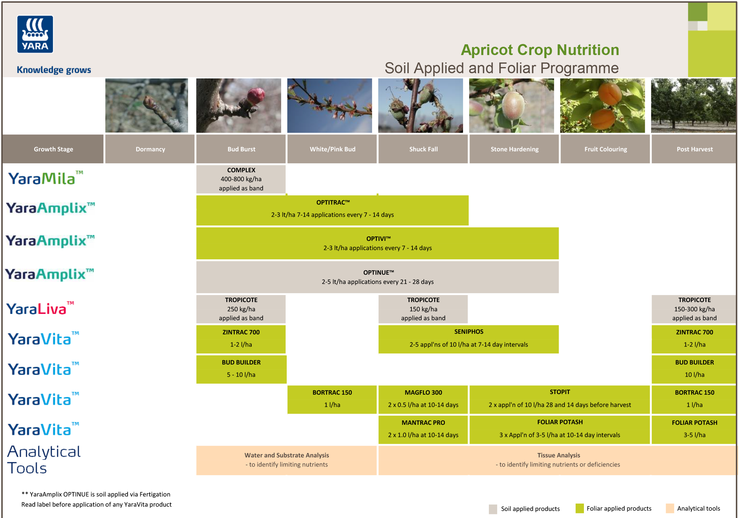 Apricot crop programme