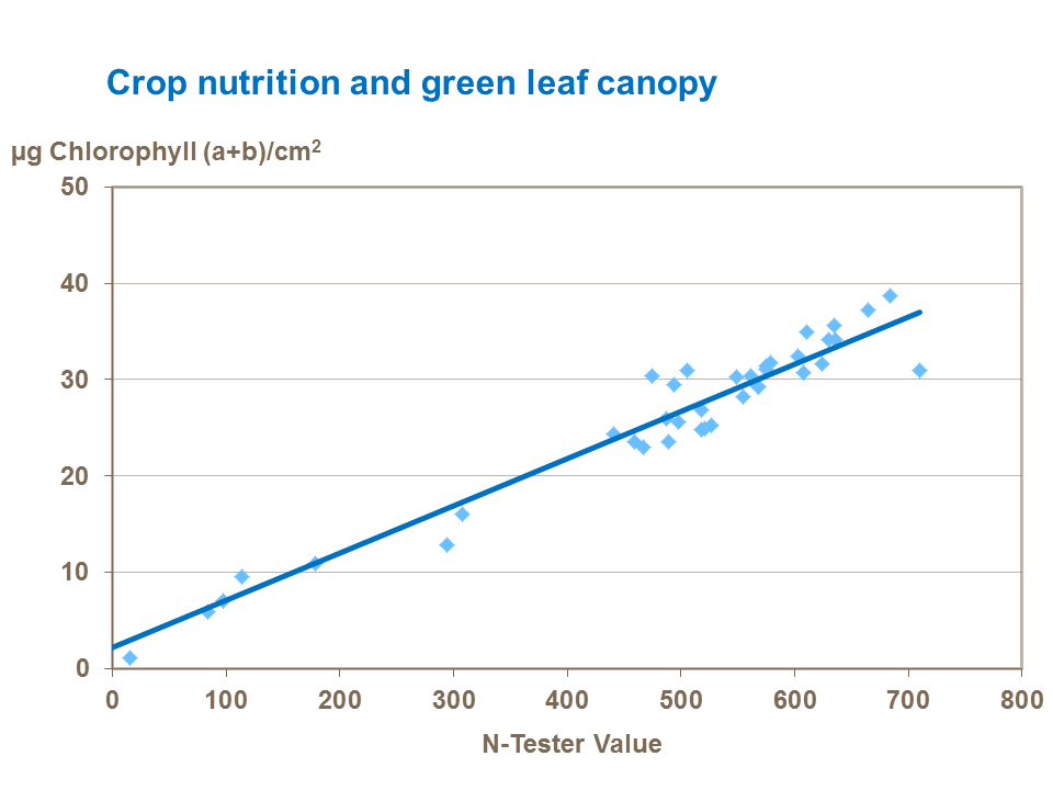 Crop nutrition and green leaf canopy