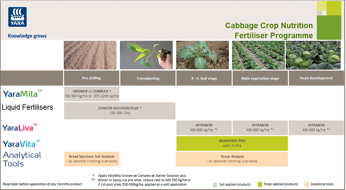Yara Cabbage Crop Programme