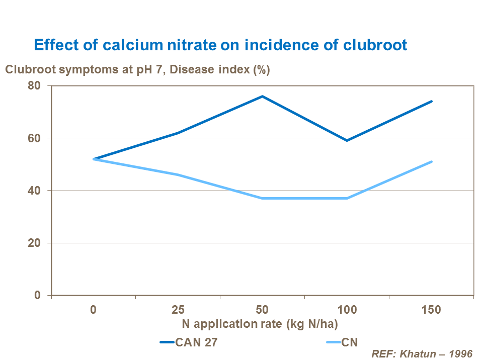 Effect of calcium nitrate on clubroot incidence