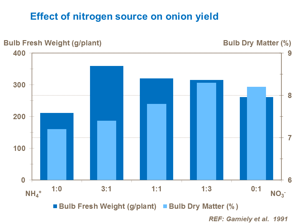 Effect of nitrogen source on onion dry matter